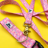 Sprinkle Doughnut Celebration Dog Collar, Water Resistant Dog Collar, Adventure Dog Collar