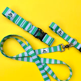 Summer 2026 Striped Dog Collar, The Seasonal Edit, Blue and Green Striped Dog Collar