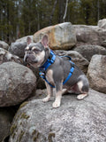 Dog Harness, H Shaped Dog Harness, Summer Dog Harness