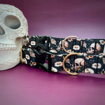 Skulls and Daisies Dog Collar, spooky Halloween dog collar, Fall 2024 dog collars