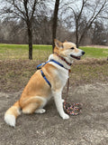 Dog Harness, H Shaped Dog Harness, Summer Dog Harness