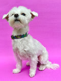 Rainbow Leopard Print Dog Collar, rainbow neon dog collar