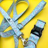 Sprinkle Doughnut Celebration Dog Collar, Water Resistant Dog Collar, Adventure Dog Collar