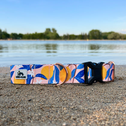 Summer 2025 Pink Lemonade Dog Collar, Lemon Dog Collar, Fruit Dog Collar, Summer 2025 Dog Collar