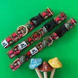 Spring 2026 Dog Collar, Mushroom Dog Collar, Spring Fungi Dog Collar, Toadstool Dog Collar