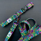 Rainbow Leopard Print Dog Collar, rainbow neon dog collar