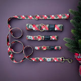 Christmas 2025 TUNDRA Collection - Jack Pine Plaid, Winter Plaid Dog Collar, Plaid Dog Collar