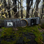 Autumn 2025 Haunted Forest Dog Collar, Spooky Dog Collar, Halloween Dog Collar