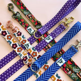 Spring 2026 Dog Collar, Purple Polka Dots Dog Collar, Purple Dog Collar