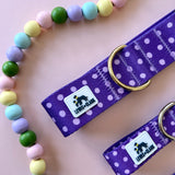 Spring 2026 Dog Collar, Purple Polka Dots Dog Collar, Purple Dog Collar
