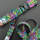 Rainbow Leopard Print Dog Collar, rainbow neon dog collar