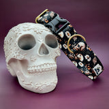 Skulls and Daisies Dog Collar, spooky Halloween dog collar, Fall 2024 dog collars