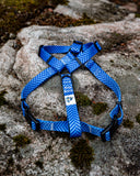 Dog Harness, H Shaped Dog Harness, Summer Dog Harness