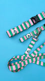 Summer 2026 Striped Dog Collar, The Seasonal Edit, Pink and Green Striped Dog Collar (Copy)
