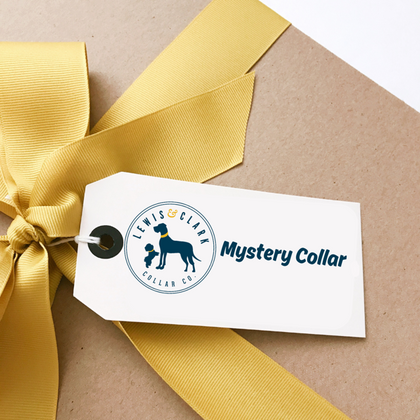 Mystery Sale - COLLAR