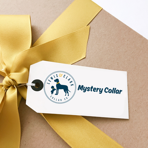 Mystery Collar (non-winter/Christmas)