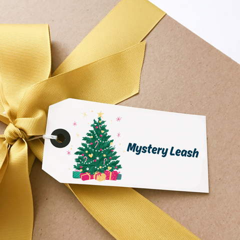 Mystery Leash - Winter or Christmas