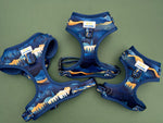 Small Dog Harness, Lewis & Clark Pass, Scenic Mountain Harness for Small Dogs