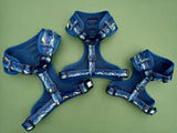 Small Dog Harness, Lewis & Clark Pass, Scenic Mountain Harness for Small Dogs