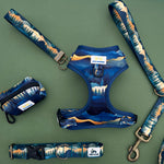 Small Dog Harness, Lewis & Clark Pass, Scenic Mountain Harness for Small Dogs