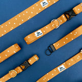 Pumpkin Spice: Autumn Equinox Collection 3/4", 1" and 1.5" widths, Water Resistant Adventure Dog Collar