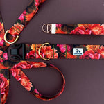 Olive Branch Floral, Autumn Equinox Collection: 1" and 1.5"widths, floral dog collar, adventure dog collar, water resistant dog collar.