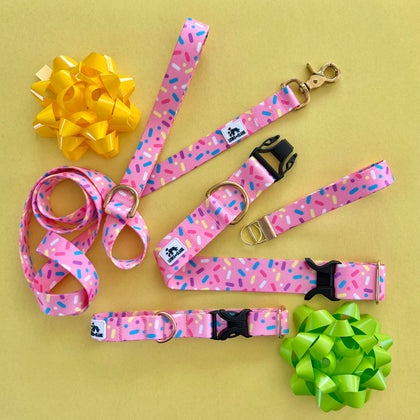 Spring 2023 LakeLife: Sprinkle Doughnut Celebration Dog Collar, Water Resistant Dog Collar, Adventure Dog Collar