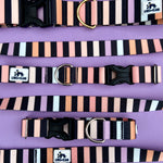Spring 2022 LakeLife: Spring Stripe, Black and Pastel Stripes, Water Resistant Striped Dog Collar, available in 1" and 1.5"