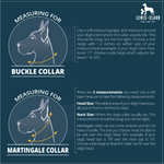 Fox in the Meadow - Fox Camping Dog Collar, Lake Life Water Resistant Dog Collar
