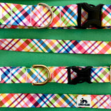 Spring 2023 LakeLife: Rainbow Plaid Dog Collar, Water Resistant Dog Collar, Adventure Dog Collar