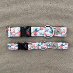 Fox in the Meadow - Fox Camping Dog Collar, Lake Life Water Resistant Dog Collar