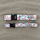 Fox in the Meadow - Fox Camping Dog Collar, Lake Life Water Resistant Dog Collar
