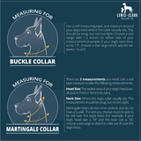 Summer LakeLife: Midsummer Mandarin Dog Collar, Water Resistant Adventure Dog Collar