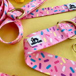 Spring 2023 LakeLife: Sprinkle Doughnut Celebration Dog Collar, Water Resistant Dog Collar, Adventure Dog Collar