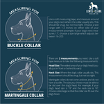 Spring 2023 LakeLife: Prismatic Lakeside Dog Collar, Water Resistant Dog Collar, Adventure Dog Collar