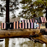 Spring 2022 LakeLife: Spring Stripe, Black and Pastel Stripes, Water Resistant Striped Dog Collar, available in 1" and 1.5"