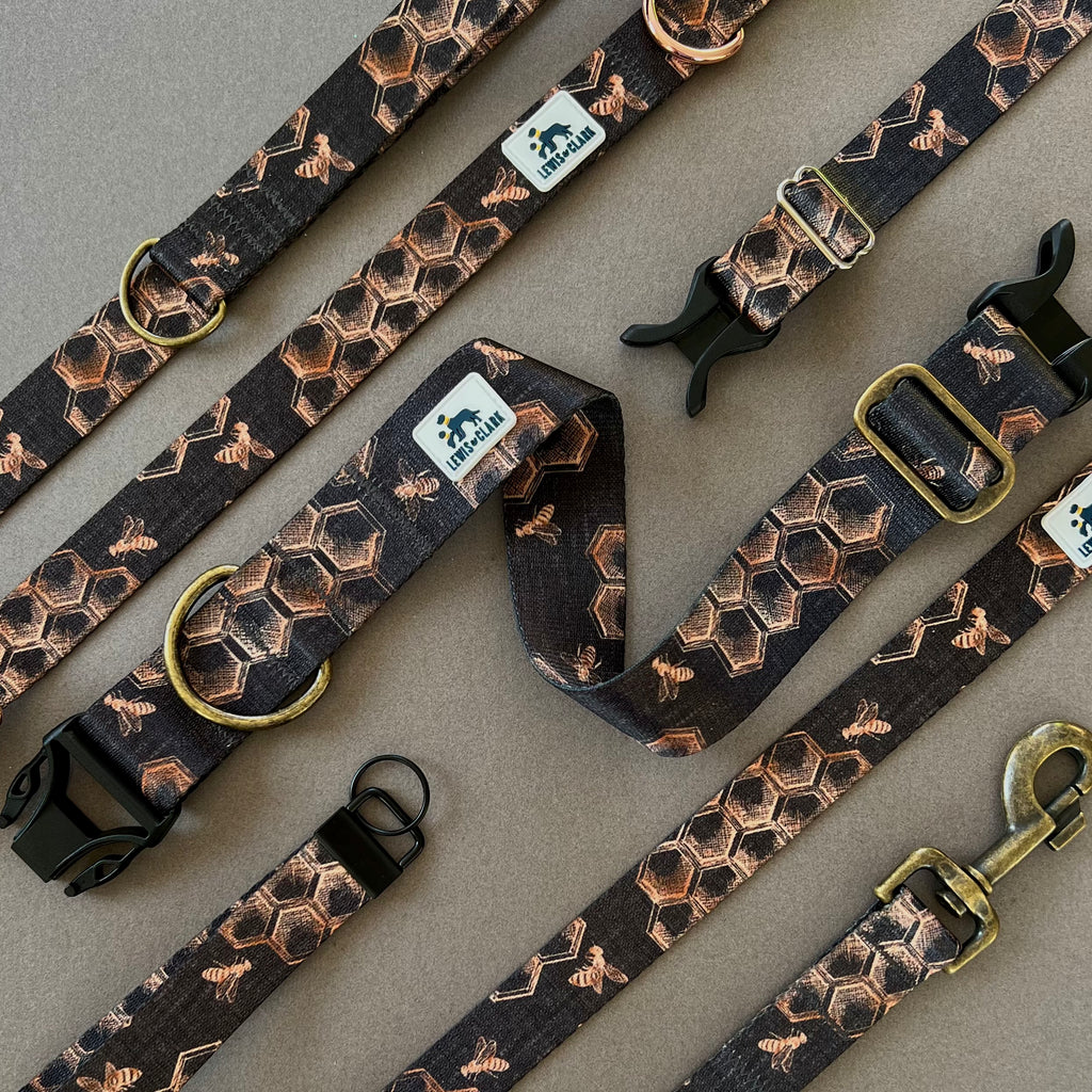 Spring 2023 LakeLife Into the Hive Bee Dog Collar Water Resistant D Lewis Clark Collar Co