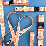 Spring 2022 Lake Life: May Flowers, daisy dog collar, Spring Dog Collar, Water Resistant Dog Collar, dog collar available in 3/4, 1" and 1.5"