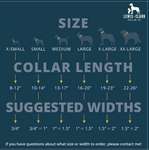 Summer LakeLife: Jabari Jungle Dog Collar, Adventure Dog Collar, Water Resistant Dog Collar